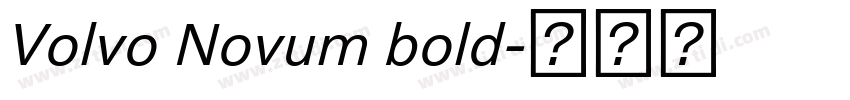 Volvo Novum bold字体转换 Volvo Novum bold字体转换